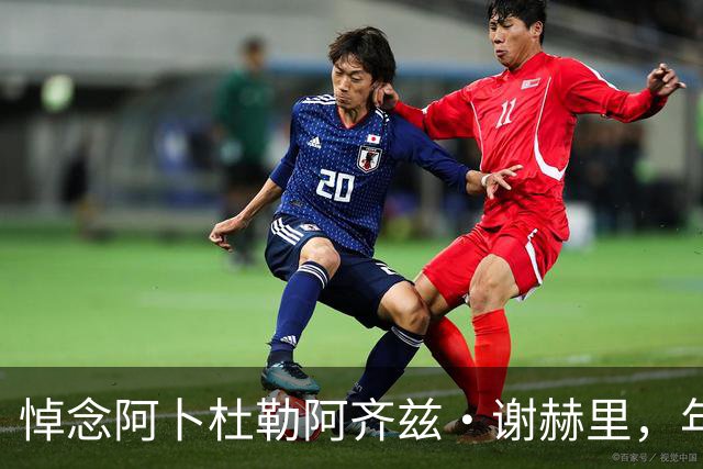 悼念阿卜杜勒阿齐兹·谢赫里，年仅19岁不幸离世
